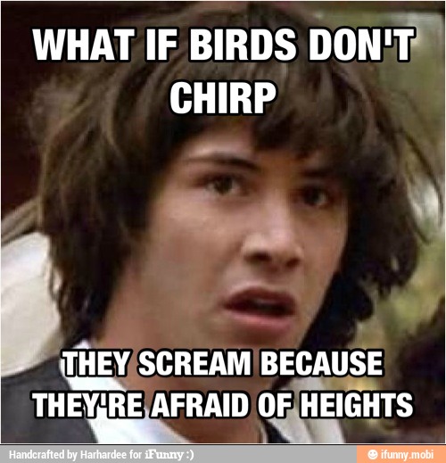 WHAT IF BIRDS DON'T
CHIRP