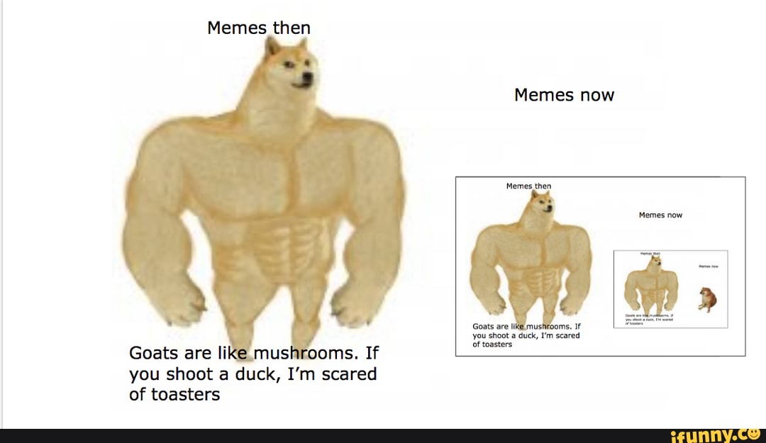 Memes then Memes now Memes now us 'you shoot a duck, I'm scared of