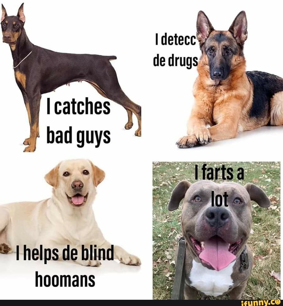 A
à I helps de blind