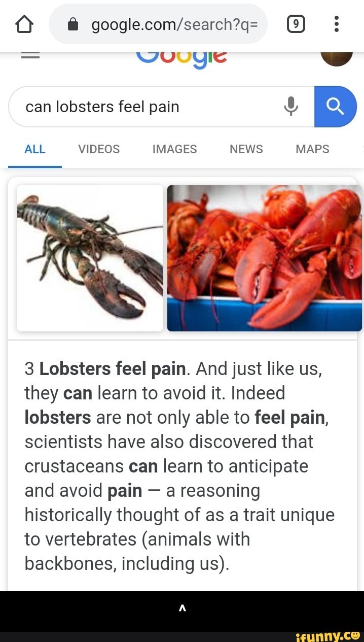 ALL VIDEOS IMAGES NEWS MAPS
3 Lobsters feel pain. And just like us,
they can learn to avoid it. Indeed
lobsters are not only able to feel pain,
scientists have also discovered that
crustaceans can learn to anticipate
and avoid pain a reasoning
historically thought of as a trait unique
to vertebrates (animals with
backbones, including us). - ^