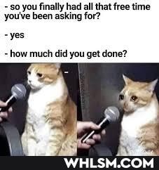 so you finally had all that free time you've been asking for?
-yes
how much did you get done?