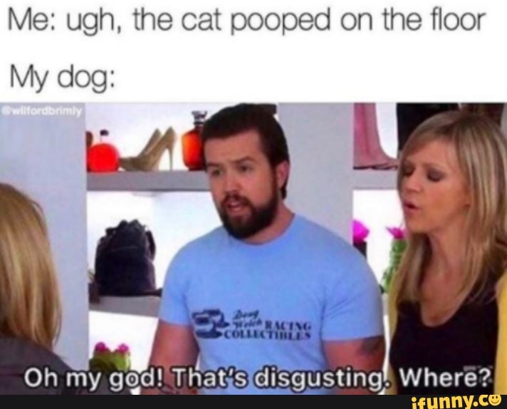 Me: ugh, the cat pooped on the floor
My dog:
Oh my ged! Thatis disgusting
y