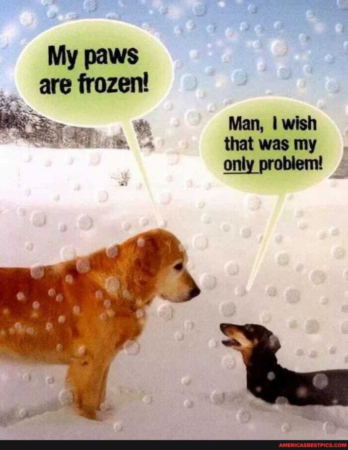 My paws are frozent
Man, I wish that was my