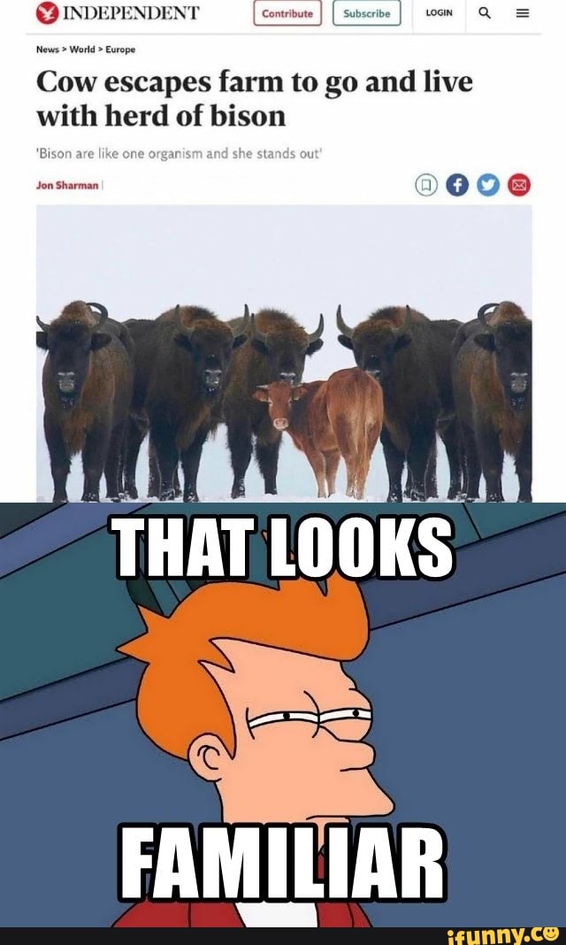 Get her to Ik please and thank you Get her to 1k please and thank you )