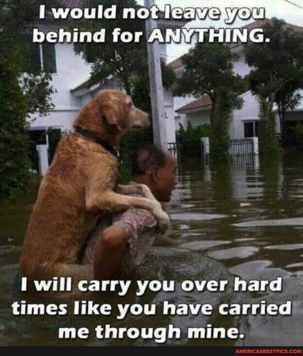 I-would not behind for Al\
I will carry you over hard
times like you have carried'.
me through mine.