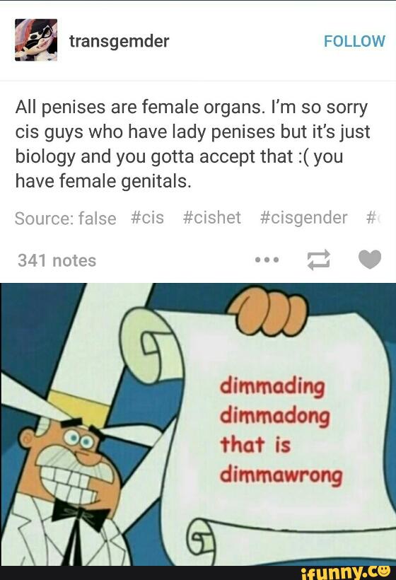 All penises are female organs. I'm so sorry
cis guys who have lady penises but it's just
biology and you gotta accept that :( you
have female genitals.
dimmading
dimmadong
flu? is
dimmawrong