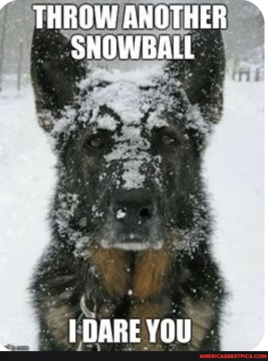 THROW ANOTHER SNOWBALL
DARE YOU
