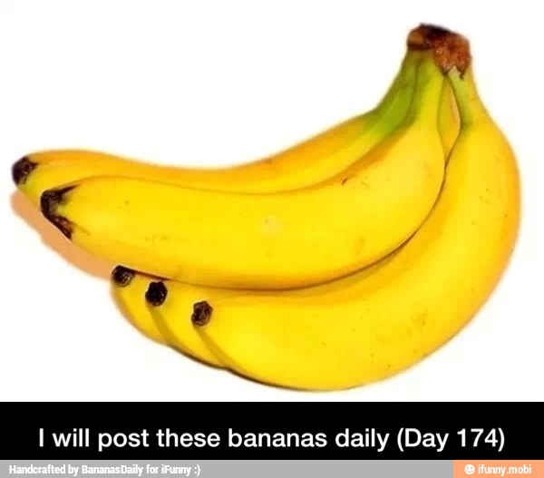 I will post these bananas daily (Day 174) - I will post these bananas daily (Day 174)