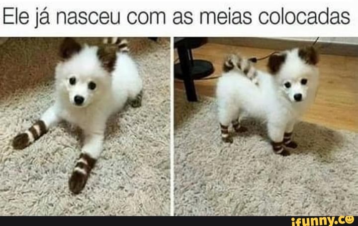 Ele já nasceu com as meias colocadas