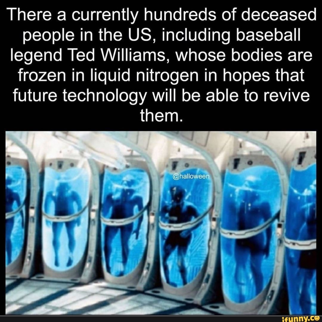 Ted Williams may be 98th to be frozen after death / But few predict  'cryonaut' revivals anytime soon