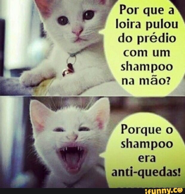 A a Por que
loira pulou
Ea do prédio
com um
shampoo
shampoo