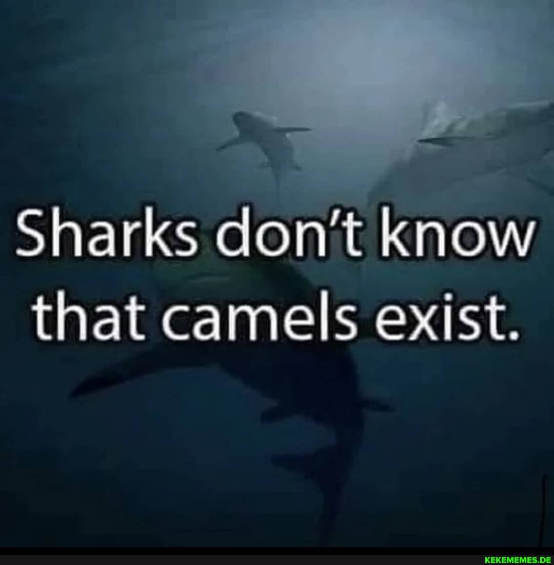 Sharks don't know that camels exist.