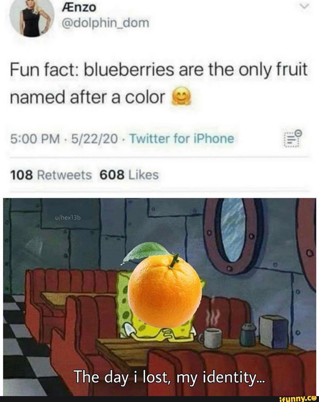 Fun fact: blueberries are the only fruit
named after a color (4
Twitter for iPhone
108 Retweets 608 Likes
The day i lost, my identity...