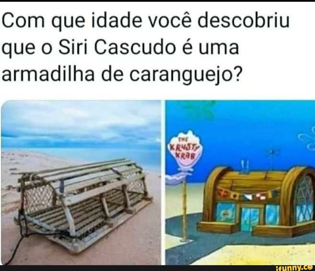 Com que idade você descobriu
que o Siri Cascudo é uma
armadilha de caranguejo?
