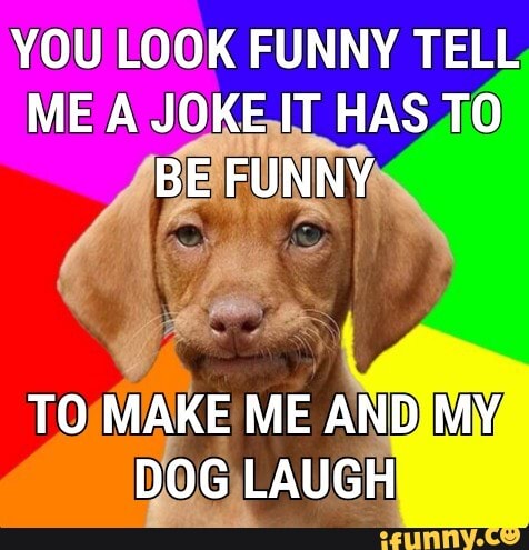 YOU LOOK FUNNY TELL ME A JOKE IT HAS TO BE FUNNY
TO MAKE ME AND MY DOG LAUGH