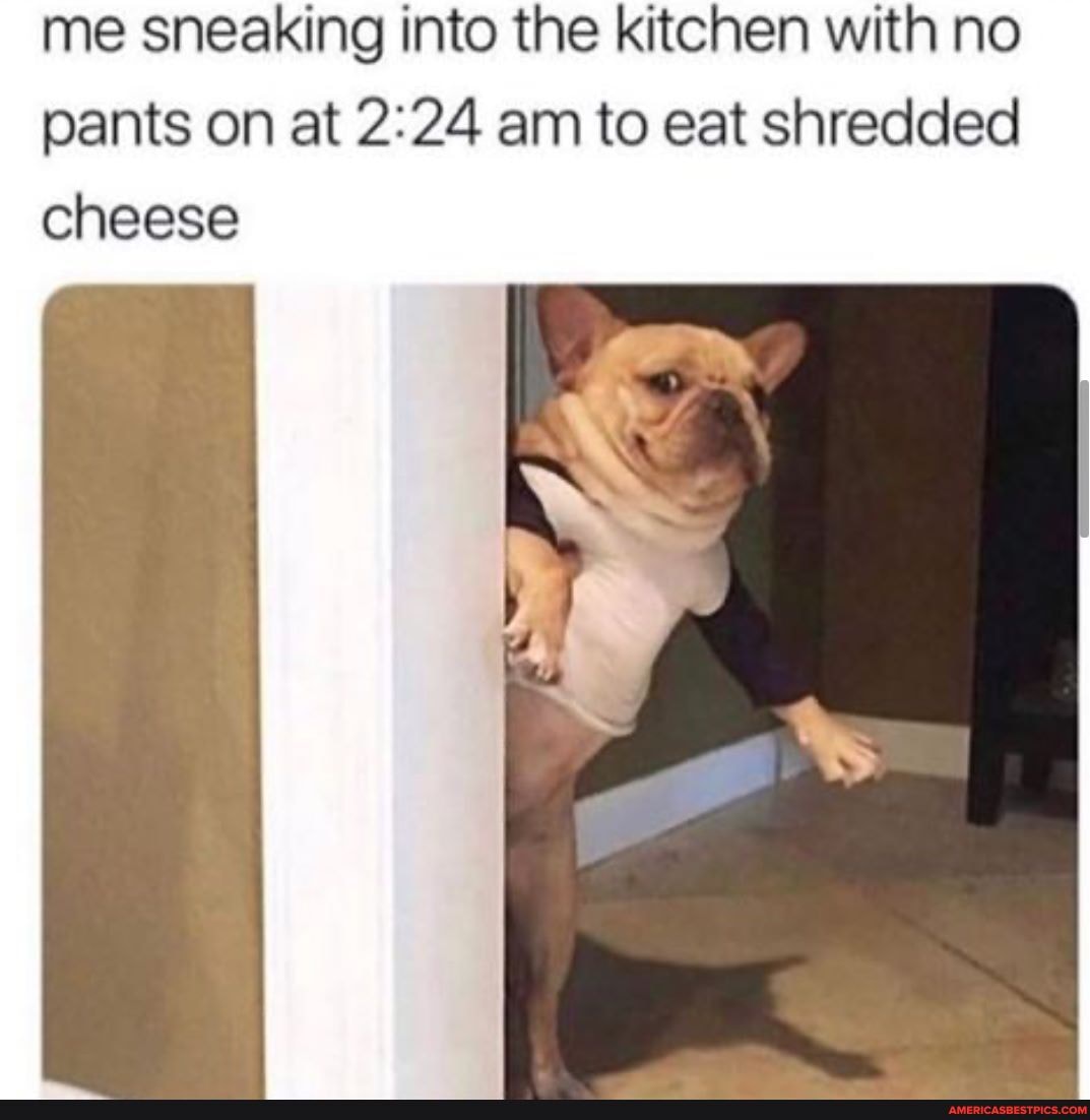 me sneaking into the kitchen with no pants on at am to eat shredded cheese