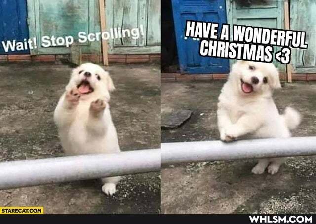 ww
Wait! Stop CHRISTMAS HAVE