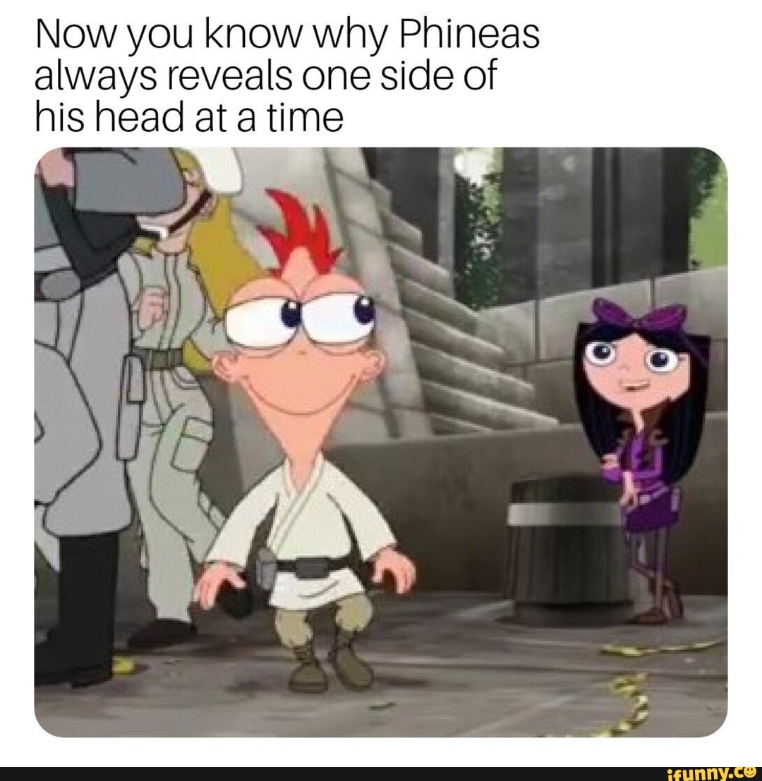 Now you know why Phineas always reveals one side of his head at a time ...