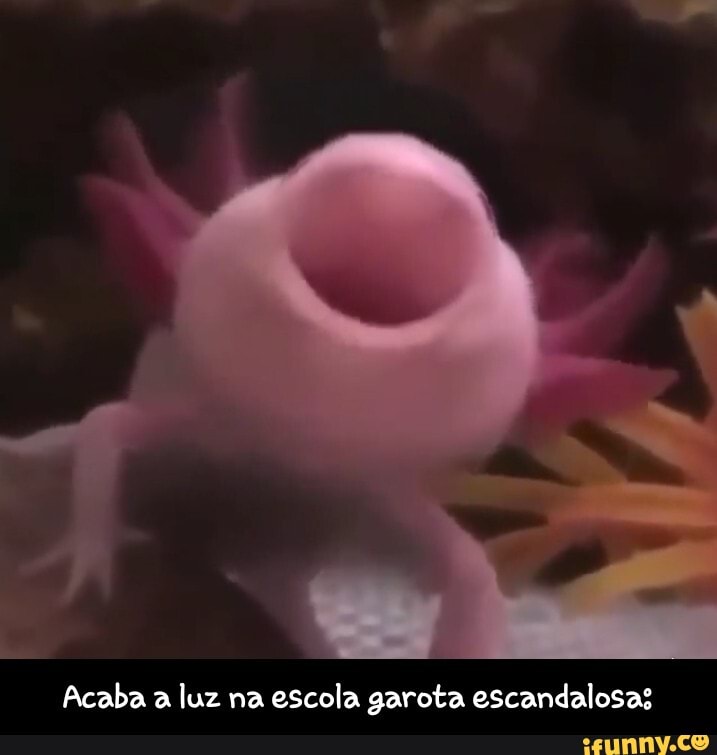 Acaba a luz na escola garota escandalosas - Acaba a luz na escola garota escandalosa:
