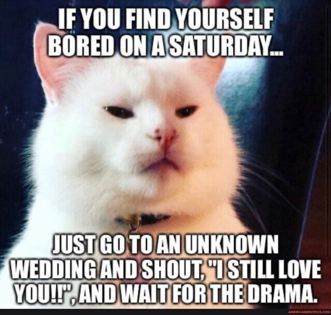 IF YOU FIND YOURSELF BORED ON A SATURDAY..
JUST GO AN UNKNOWN WEDDING AND SHOUT. STILL LOVE YOUl, AND WAIT FOR THE DRAMA.