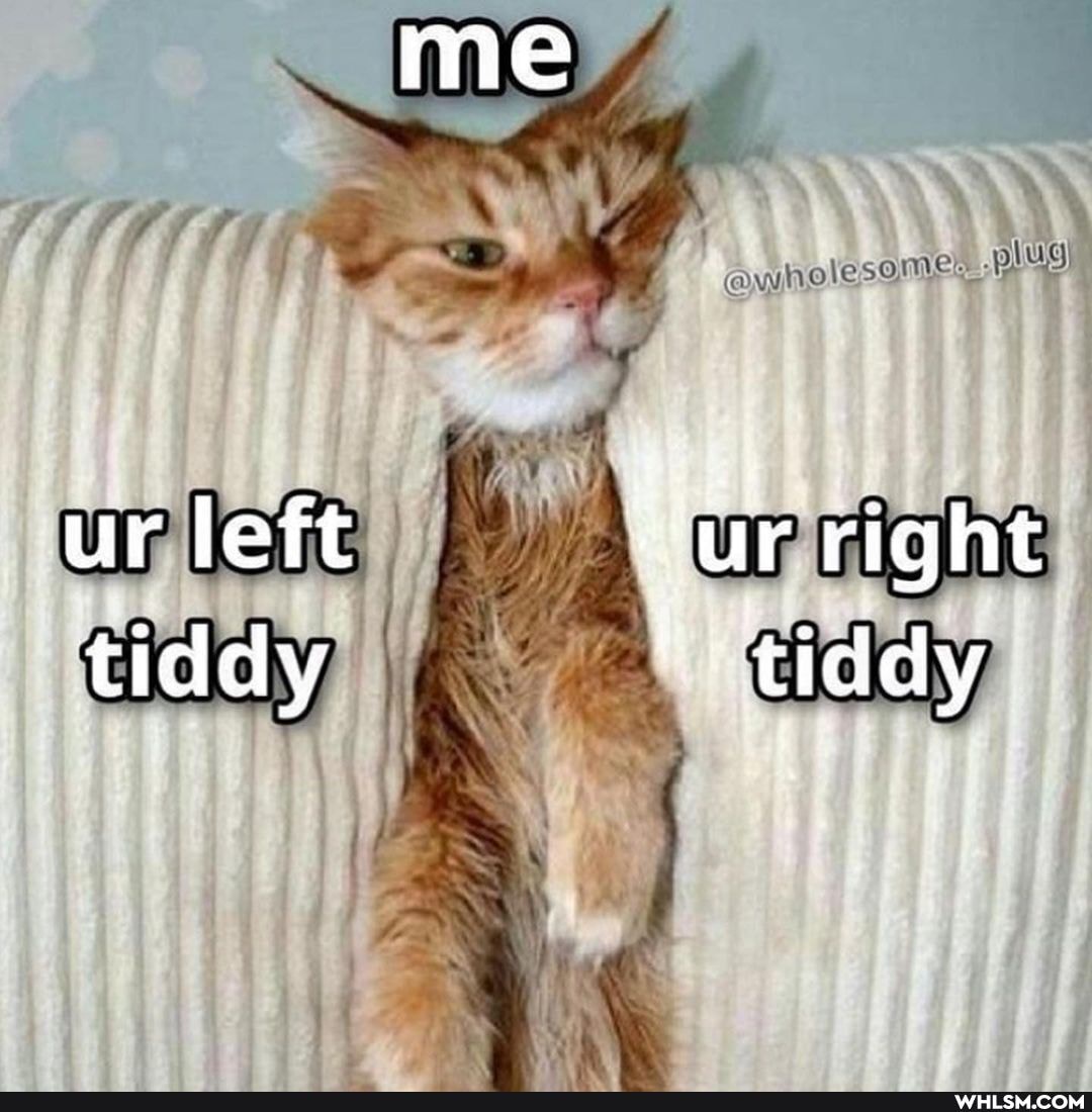 @wholesome~
ur left "ur right tiddy tiddy