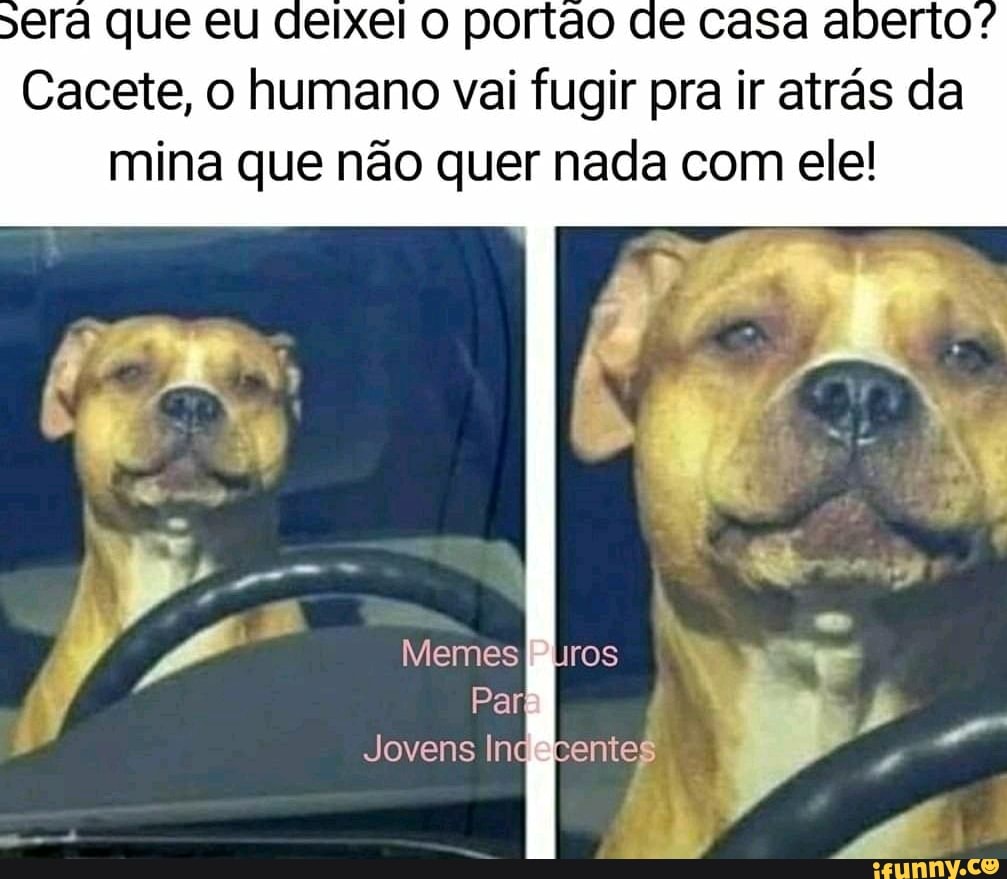 sera que eu delxel po de casa
Cacete, O humano vai fugir pra ir atrás mina que não que nada com ele!
ce casa fugir pra ir da nada com ele!
Memes
Par
Jovens Ing
uros
tentes