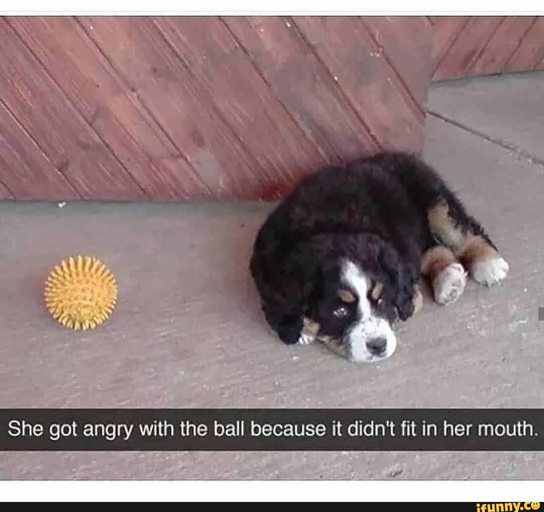 She got angry with the ball because it didn't fit in her mouth.