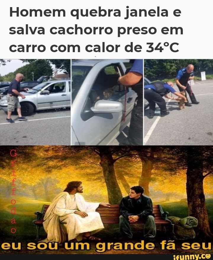 Homem quebra janela e salva cachorro preso em carro com calor de 34ºC
eu soú um grande fã seu