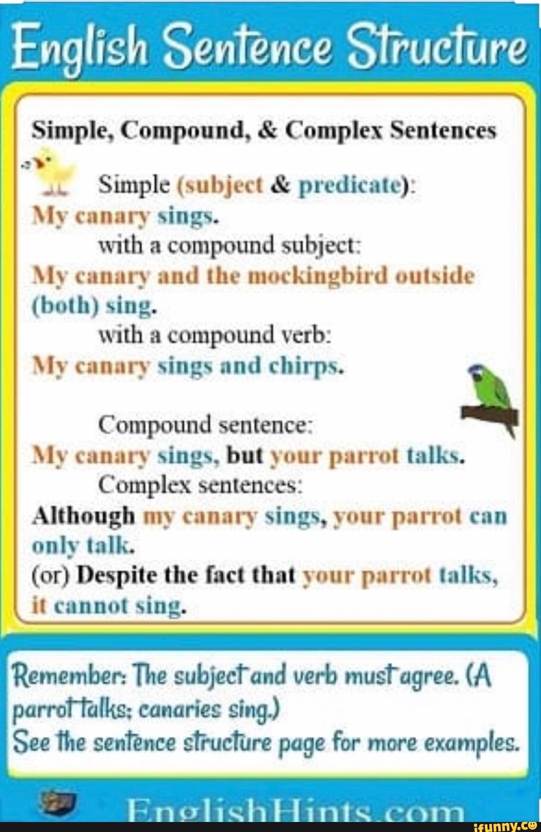 The correct sentence structure. English sentence structure. Basic structures в английском языке. Sentences in English. Basic sentence structure in English.