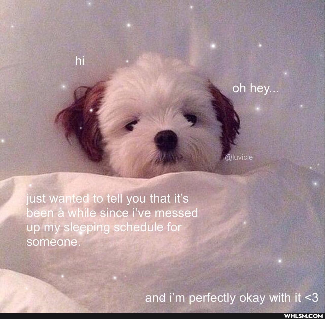 hi
oh hey...
just wanted to tell you that it's been a while since i've messed up my sleeping schedule for someone.
and i'm perfectly okay with it <3