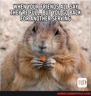 WHEN YOUR FRIENDS ALL SAY THEY'RE FULL, BUT YOU GO BACK FOR ANOTHER SERVING