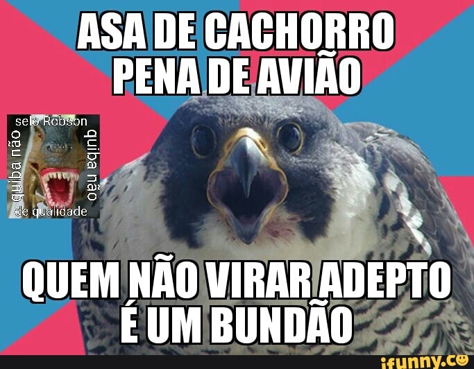 QUEM NÃO
VIRARADEPTO
É UM BUNDÃO