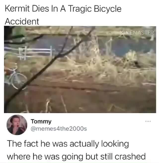 Kermit Dies In A Tragic Bicycle Accident The Fact He Was Actually Looking Wae