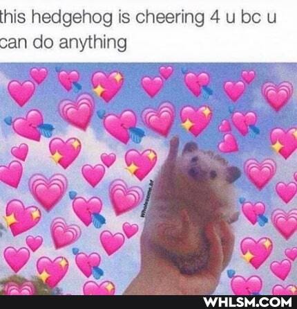 this hedgehog is cheering 4 u be u can do anything
oo wy we
igy, y