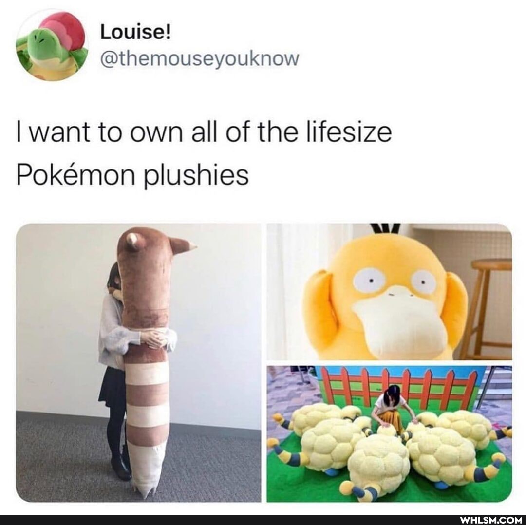 Louise!
@themouseyouknow
I want to own all of the lifesize
Pokemon plushies