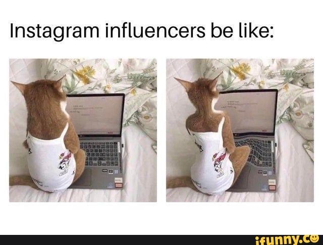 Meme Dump for today - Instagram influencers be like: 