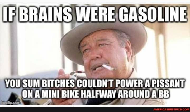 IF BRAINS WERE GASOLINE
iB. a
SUM BITCHES COULDN'T POWER A PISSANT ON A MINI BIKE HALFWAY AROUND A BB