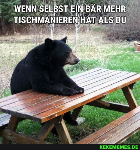 WENN SELBST EIN BÄR MEHR TISCHMANIEREN HAT ALS DU