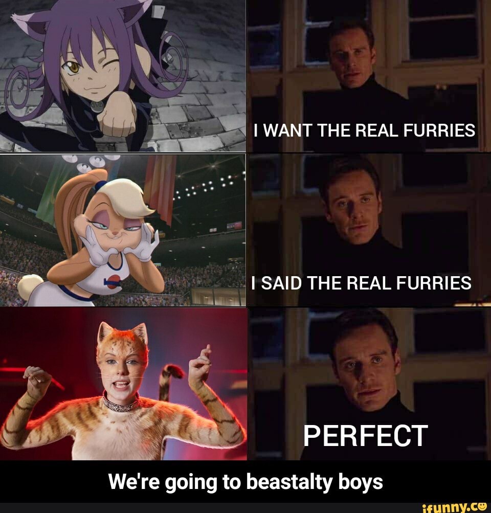 Beastalty memes. Best Collection of funny Beastalty pictures on iFunny