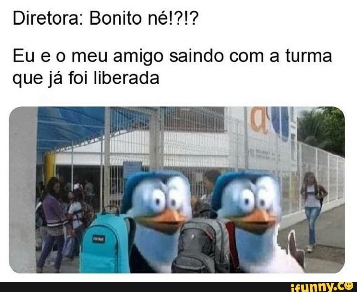 Diretora: Bonito né!?!?
Eu e o meu amigo saindo com a turma
que já foi liberada