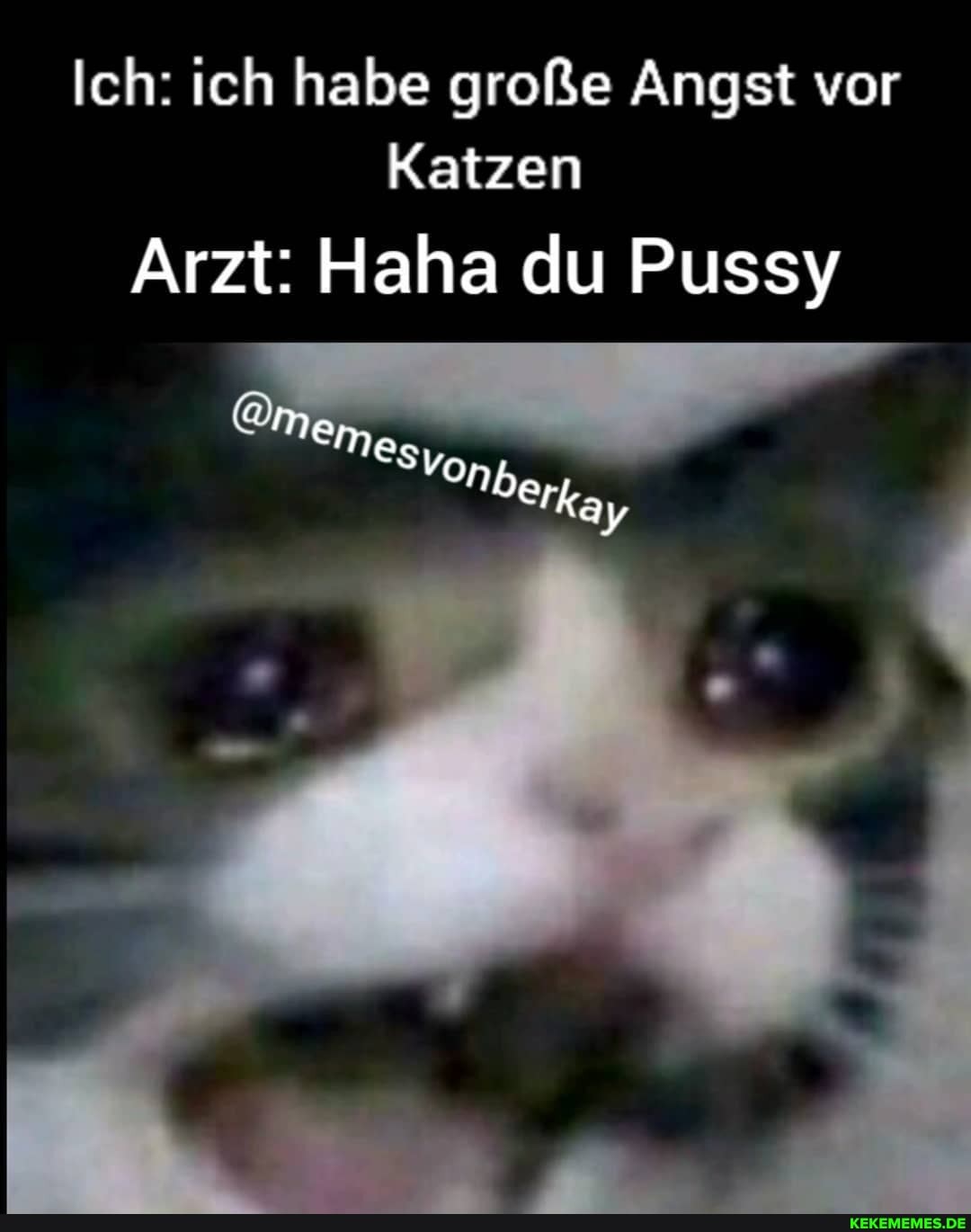 Ich: ich habe große Angst vor
Katzen
Arzt: Haha du Pussy
em