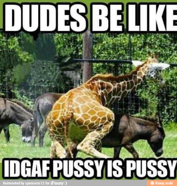DUDES BELIR