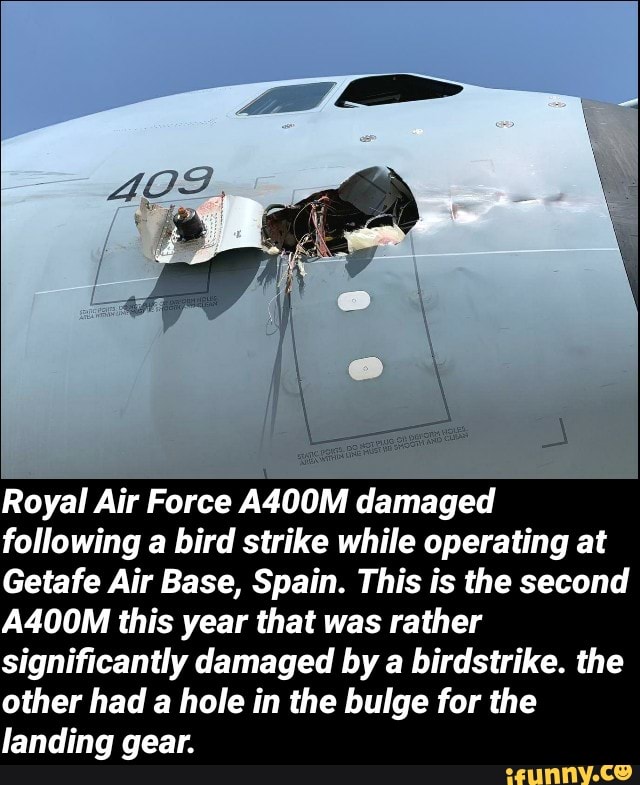 Royal Air Force A400M damaged
following a bird strike while operating at
Getafe Air Base, Spain. This is the second
A400M this year that was rather
significantly damaged by a birdstrike. the
other had a hole in the bulge for the
landing gear.