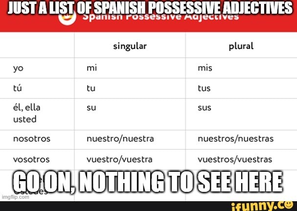 UST A LIST OF SPANISH POSSESSIVE ADJECTIVES Singular Plural Yo Mi Mis 