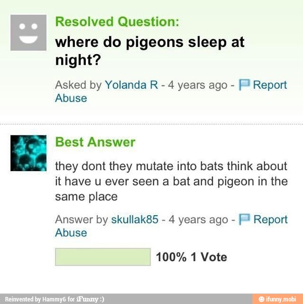 Resolved Question:
where do pigeons sleep at
night?
Asked by Yolanda R
4 years ago Report
NU
they dont they mutate into bats think about
ithave u ever seen a bat and pigeon in the
Answer by skullak85
4 years ago Report
Abuse
100% 1 Vote
