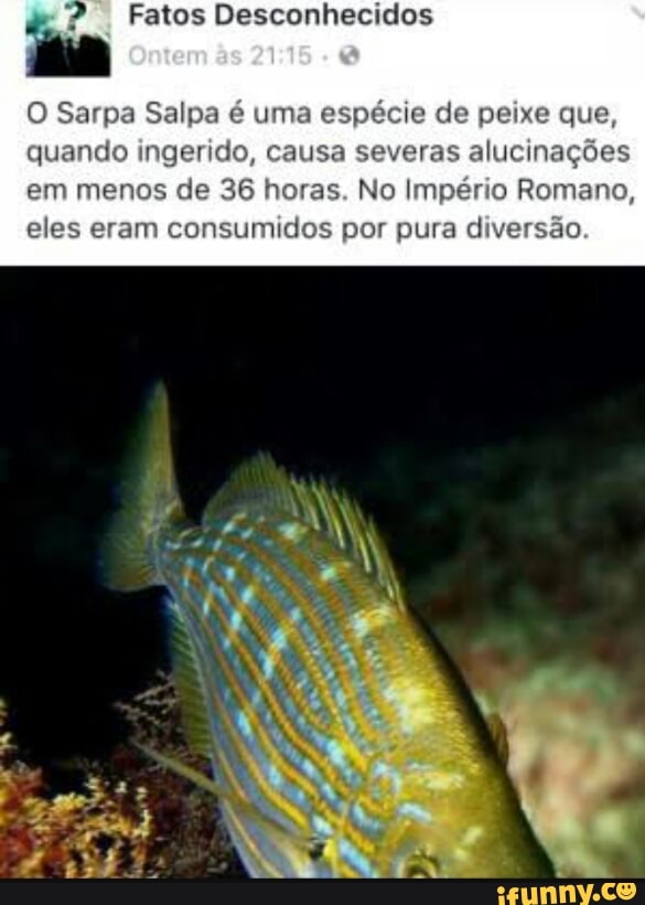 Fatos Desconhecidos
O Sarpa Salpa é um
quando ingerido, 3 severas alucina
em menos de 36 horas. No Império Romano,
eles eram consumidos por pura diversão