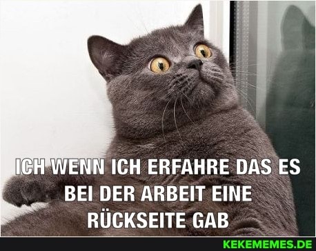 BEI DER ARBEIT EINE
I ICH WENN ICH ERFAHRE DAS ES
I RUCKSEITE GAB