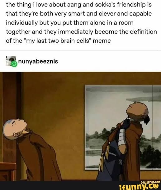 the thing i love about aang and sokka's friendship is
that they're both very smart and clever and capable
individually but you put them alone in a room
together and they immediately become the definition
of the "my last two brain cells" meme