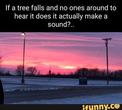 If A Tree Falls And No Ones Around To Hear It Does It Actually Make A   88c2e4602bb9771a1c9b0ee8655f4af83a1121cee0e0e07e4465004d4d967382 1 