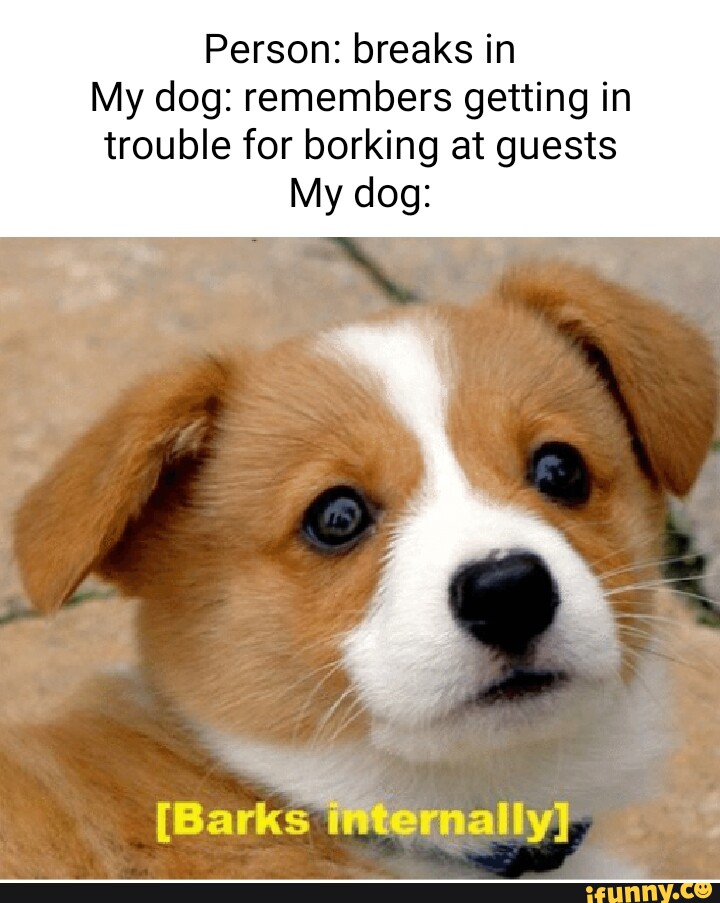 Borking memes. Best Collection of funny Borking pictures on iFunny